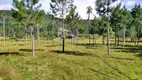 Foto 6 de Fazenda/Sítio com 3 Quartos à venda, 252825m² em Alto Benedito Novo, Benedito Novo