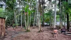 Foto 4 de Fazenda/Sítio com 3 Quartos à venda, 600m² em , Benevides