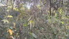 Foto 10 de Fazenda/Sítio com 3 Quartos à venda, 180m² em Serra do Cipó, Santana do Riacho