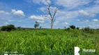 Foto 9 de Fazenda/Sítio à venda, 1156m² em Zona Rural, Lagoa do Tocantins