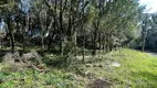 Foto 8 de Lote/Terreno à venda, 802m² em Floresta, Gramado