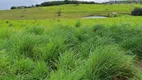 Foto 17 de Fazenda/Sítio com 4 Quartos à venda, 16m² em , Monte Alegre