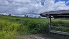 Foto 26 de Fazenda/Sítio com 3 Quartos à venda, 3750000m² em Centro, São Miguel do Guamá