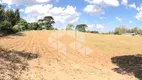 Foto 11 de Lote/Terreno à venda, 10875m² em Forqueta, Caxias do Sul