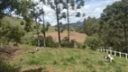 Foto 7 de Lote/Terreno à venda, 2500m² em Zona Rural, Marmelópolis