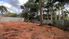 Foto 8 de Lote/Terreno à venda, 1600m² em Planta Meireles, Piraquara