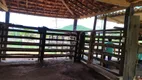 Foto 25 de Fazenda/Sítio com 2 Quartos à venda, 720000m² em Zona Rural, Francisco Sá