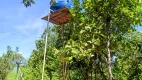 Foto 18 de Fazenda/Sítio com 2 Quartos à venda, 15m² em Zona Rural, Colinas do Sul