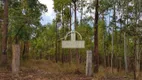 Foto 20 de Fazenda/Sítio à venda, 100000m² em Zona Rural, Jequitibá