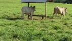 Foto 11 de Fazenda/Sítio com 3 Quartos à venda, 3700000m² em Zona Rural, Acorizal