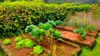 Foto 105 de Fazenda/Sítio com 3 Quartos à venda, 90000m² em Centro, Juquitiba