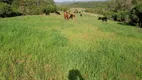 Foto 22 de Fazenda/Sítio com 3 Quartos à venda, 2600000m² em Centro, Bagé