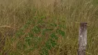 Foto 16 de Fazenda/Sítio à venda, 80000m² em Area Rural de Ceilandia, Brasília