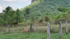 Foto 12 de Fazenda/Sítio à venda em Zona Rural, Campinorte