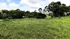 Foto 26 de Fazenda/Sítio com 4 Quartos à venda, 300m² em Mato Dentro, Sorocaba