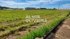 Foto 13 de Lote/Terreno à venda, 257m² em Jardim das Araucárias, Sertãozinho