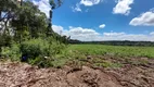 Foto 11 de Fazenda/Sítio à venda, 196000m² em Centro, Campo do Tenente