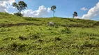 Foto 28 de Fazenda/Sítio com 2 Quartos à venda, 470000m² em Corrego Rico, Planaltina