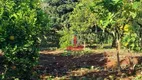 Foto 8 de Fazenda/Sítio com 2 Quartos à venda, 2000m² em Usina Três Bocas, Londrina