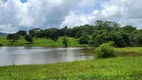 Foto 9 de Fazenda/Sítio com 3 Quartos à venda, 3630000m² em Centro, Guapó