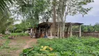 Foto 18 de Fazenda/Sítio com 4 Quartos à venda, 26000m² em Agrobrasil, Cachoeiras de Macacu