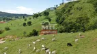 Foto 33 de Fazenda/Sítio à venda em Zona Rural, Rubiataba