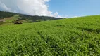 Foto 22 de Fazenda/Sítio à venda, 87000m² em Centro, Alfredo Wagner