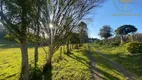 Foto 42 de Fazenda/Sítio com 3 Quartos à venda, 350m² em Capoeira dos Dinos, Piraquara