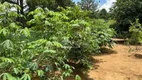 Foto 30 de Fazenda/Sítio com 6 Quartos à venda, 500m² em Rio de Una, Ibiúna