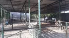 Foto 19 de Fazenda/Sítio com 3 Quartos à venda, 40000m² em Sitio Arena, São José de Mipibu