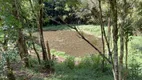 Foto 29 de Fazenda/Sítio com 2 Quartos à venda, 6000m² em Cotia, São José dos Pinhais