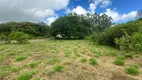 Foto 5 de Lote/Terreno à venda, 1800m² em Águas Claras, Viamão