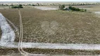 Foto 4 de Fazenda/Sítio à venda, 40000m² em Area Rural de Boa Vista, Boa Vista