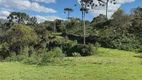 Foto 5 de Lote/Terreno à venda em Rural, Rio Rufino