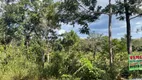 Foto 9 de Fazenda/Sítio à venda, 10000m² em , Cocalzinho de Goiás