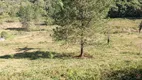 Foto 50 de Fazenda/Sítio com 3 Quartos à venda, 32400m² em Centro, Juquitiba