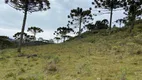 Foto 27 de Fazenda/Sítio à venda, 240000m² em Perico, São Joaquim