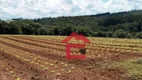 Foto 38 de Fazenda/Sítio com 4 Quartos à venda, 600m² em Sebandilha, Mairinque