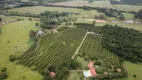 Foto 4 de Fazenda/Sítio com 5 Quartos à venda, 1760m² em Zona Rural, Porto Feliz