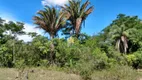 Foto 15 de Fazenda/Sítio com 2 Quartos à venda, 330000m² em , São Tiago