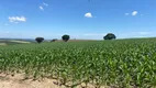 Foto 13 de Fazenda/Sítio com 1 Quarto à venda, 1m² em Area Rural de Sorocaba, Sorocaba