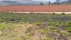 Foto 8 de Lote/Terreno à venda, 500m² em Alphaville, Vespasiano