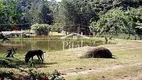 Foto 6 de Fazenda/Sítio com 6 Quartos para venda ou aluguel, 30000m² em Parque Mira Flores, Itapevi