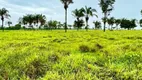 Foto 2 de Fazenda/Sítio com 3 Quartos à venda, 70m² em Zona Rural, Araguaína