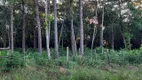 Foto 3 de Lote/Terreno à venda, 300m² em Campestre, São Leopoldo