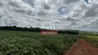 Foto 17 de Fazenda/Sítio à venda, 411m² em Zona Rural, Santa Cruz de Goiás
