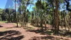 Foto 11 de Lote/Terreno à venda, 29995m² em Centro, Campo Alegre