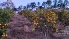 Foto 67 de Fazenda/Sítio com 3 Quartos à venda, 200m² em Parque Boa União, Teresópolis