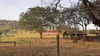 Foto 4 de Fazenda/Sítio à venda em Setor Central, Araçu