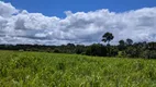 Foto 11 de Fazenda/Sítio com 3 Quartos à venda, 3750000m² em Centro, São Miguel do Guamá